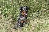 BEAUCERON 107